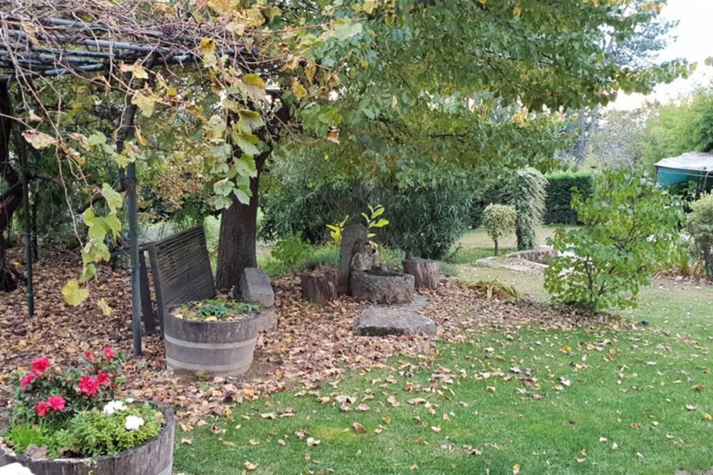 Casa Rural Las Traviesas 2 カンデレダ エクステリア 写真